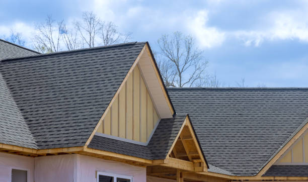 Best Roof Ventilation Installation  in Shelby, MS